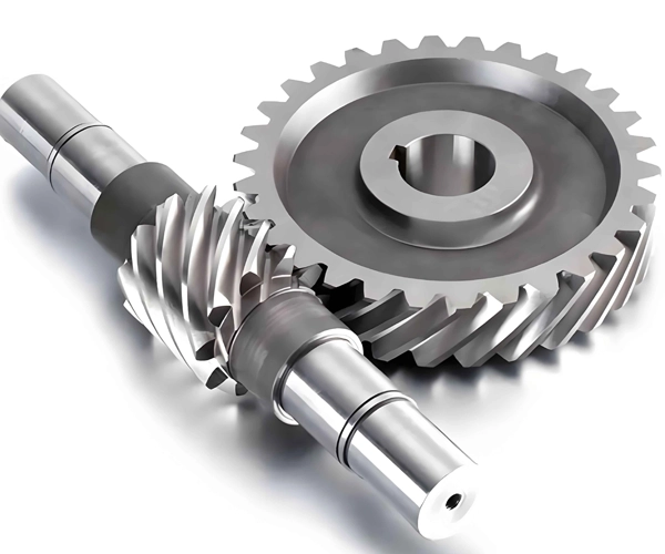 درباره ما 11 Worm Gear 8